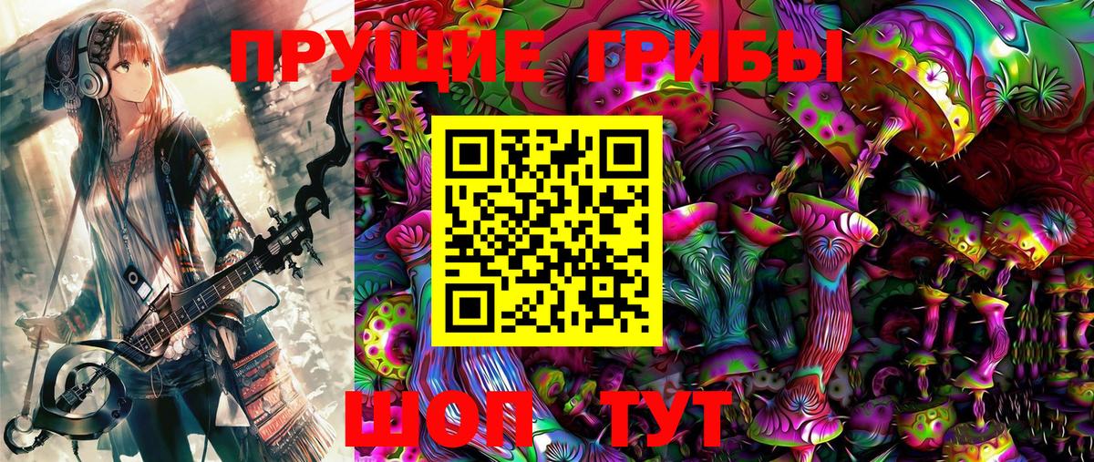Галлюциногенные грибы Magic Shrooms  Галлюциногенные грибы GOLDEN TEACHER  Элиста  Вход с VPN 